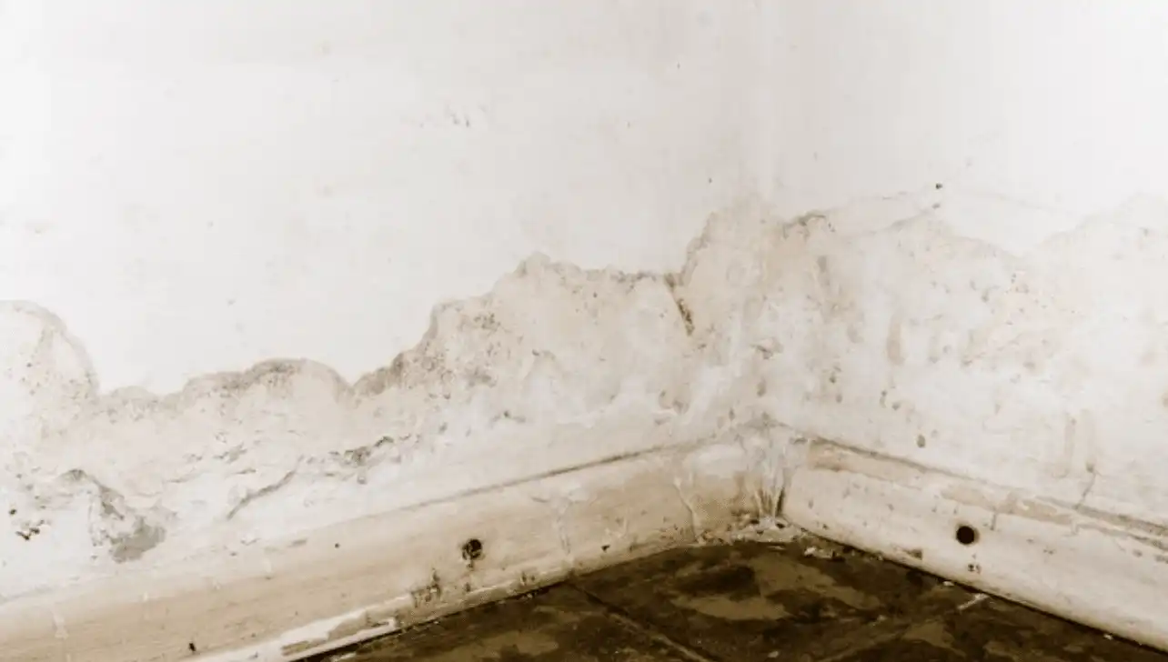 Nanosil 1 (Damp wall)